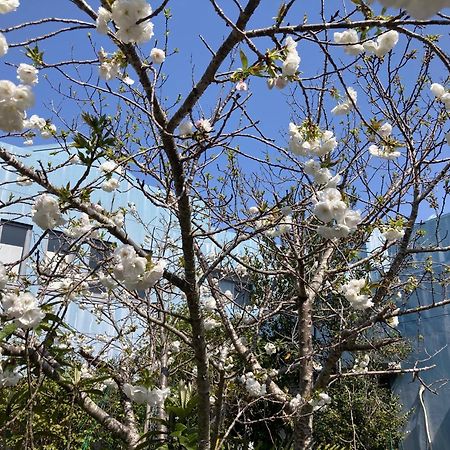Narita Airport Samurai Hostel Kudzsukuri Kültér fotó